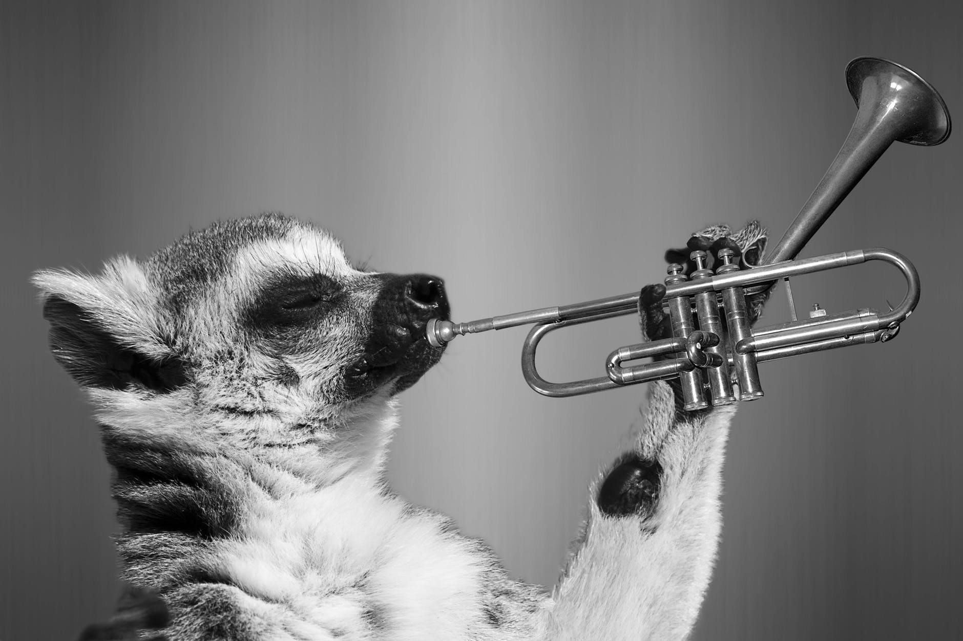 Trumpet Lessons